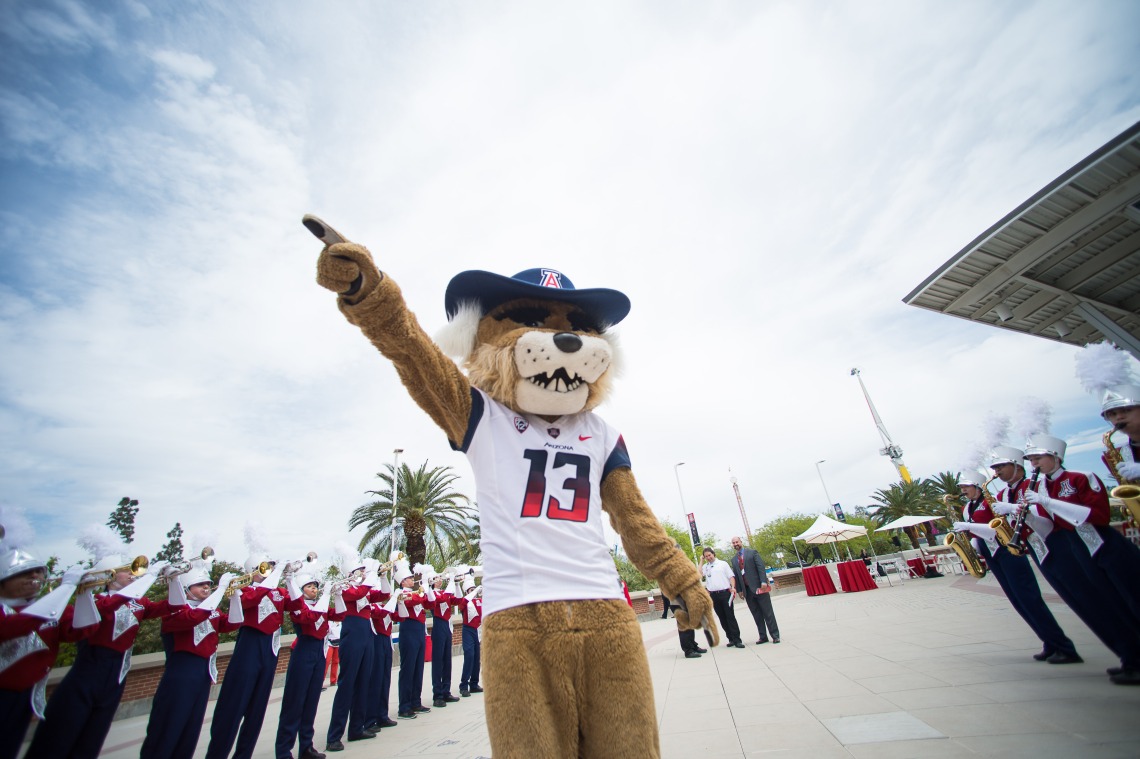 Wilbur Wildcat mascot with marching band