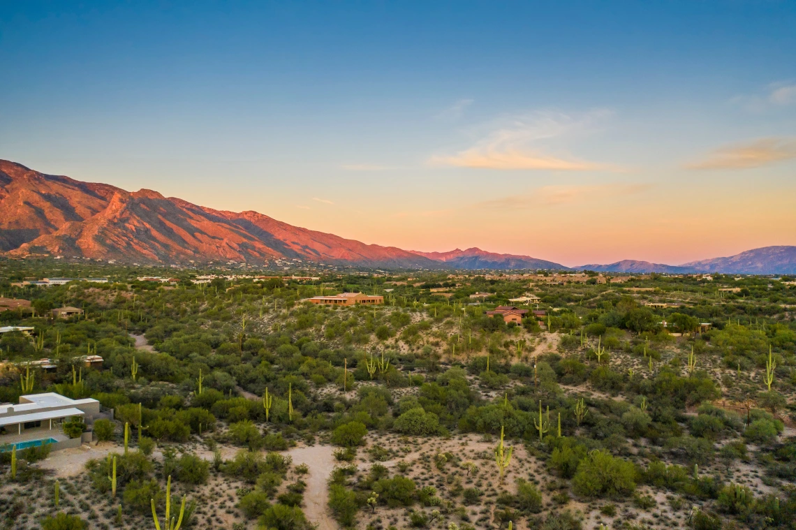 Tucson Desert with view of the Horizon