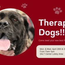 Flyer for Therapy Dog Event